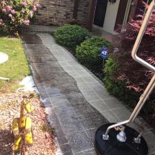 Sidewalk roof cleaning